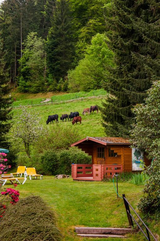 Holzschuhs Schwarzwaldhotel Baiersbronn Exteriör bild